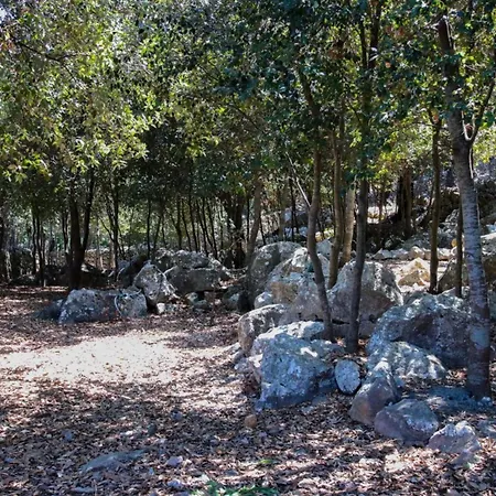Wonderful Mallorca - 4 Bedrooms - Treasure - Private Pool And Quiet Location - Villa